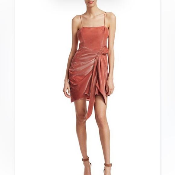 Cinq a Sept Kiki Velvet Mini Dress - Picture 3 of 8